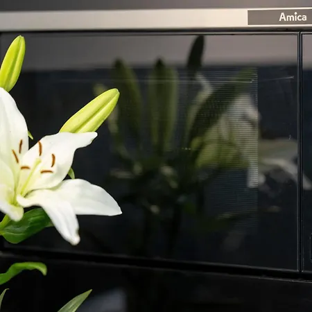 Sagaria - Easy - Rent - Z Basenem 公寓 Dziwnów