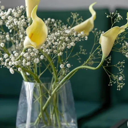 Sagaria - Easy - Rent - Z Basenem