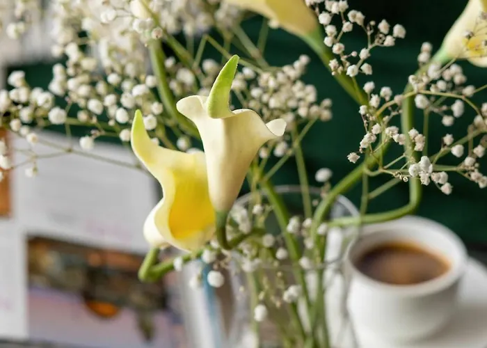 Appartement Sagaria - Easy - Rent - Z Basenem Dziwnów