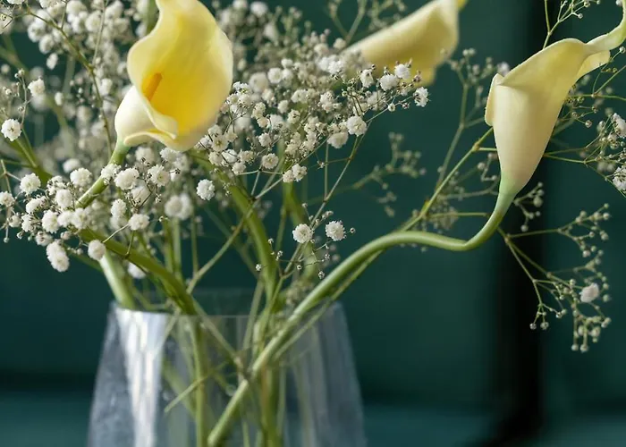 Sagaria - Easy - Rent - Z Basenem